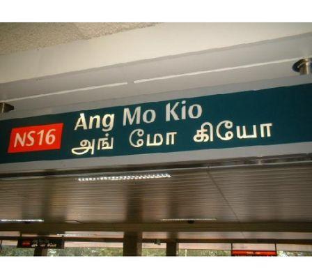 Blk 323 Ang Mo Kio Avenue 3 (Ang Mo Kio), HDB 2 Rooms #110521552